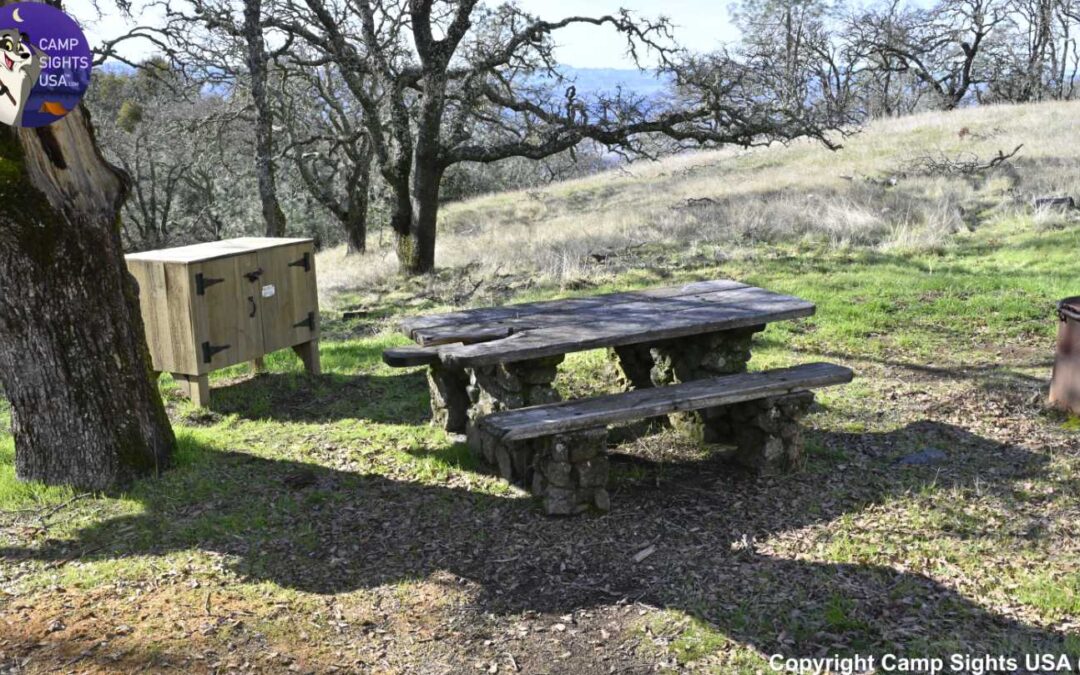 Junction Campsite #3
