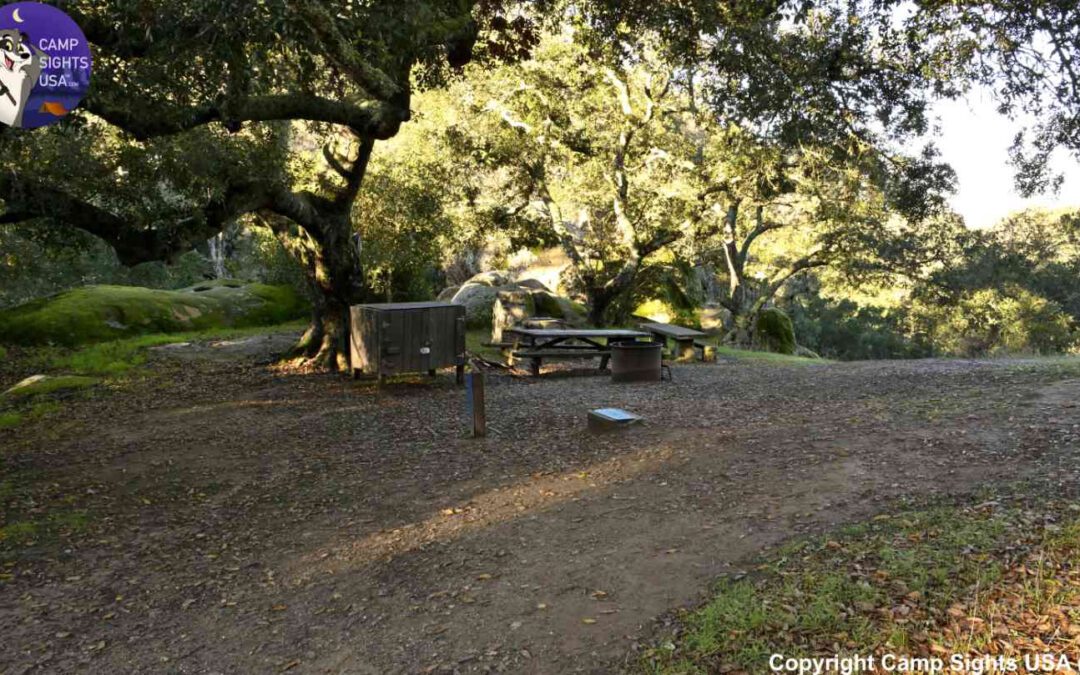 Live Oak Site #2