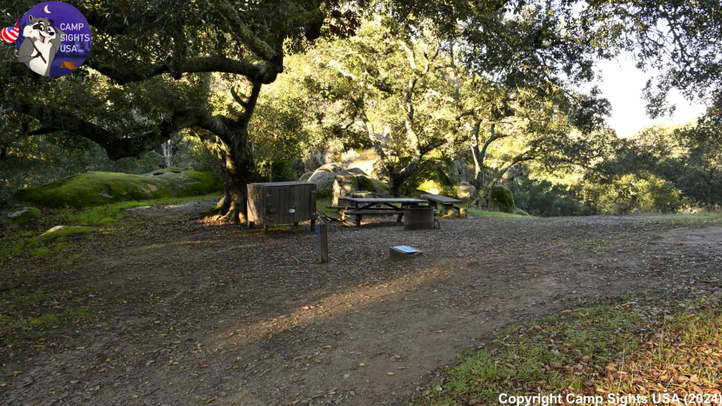 Live Oak Site #2