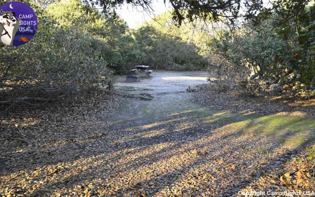 Manresa Campsite #59