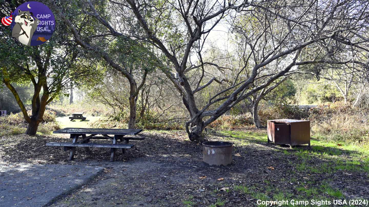 New Brighton State Beach #96