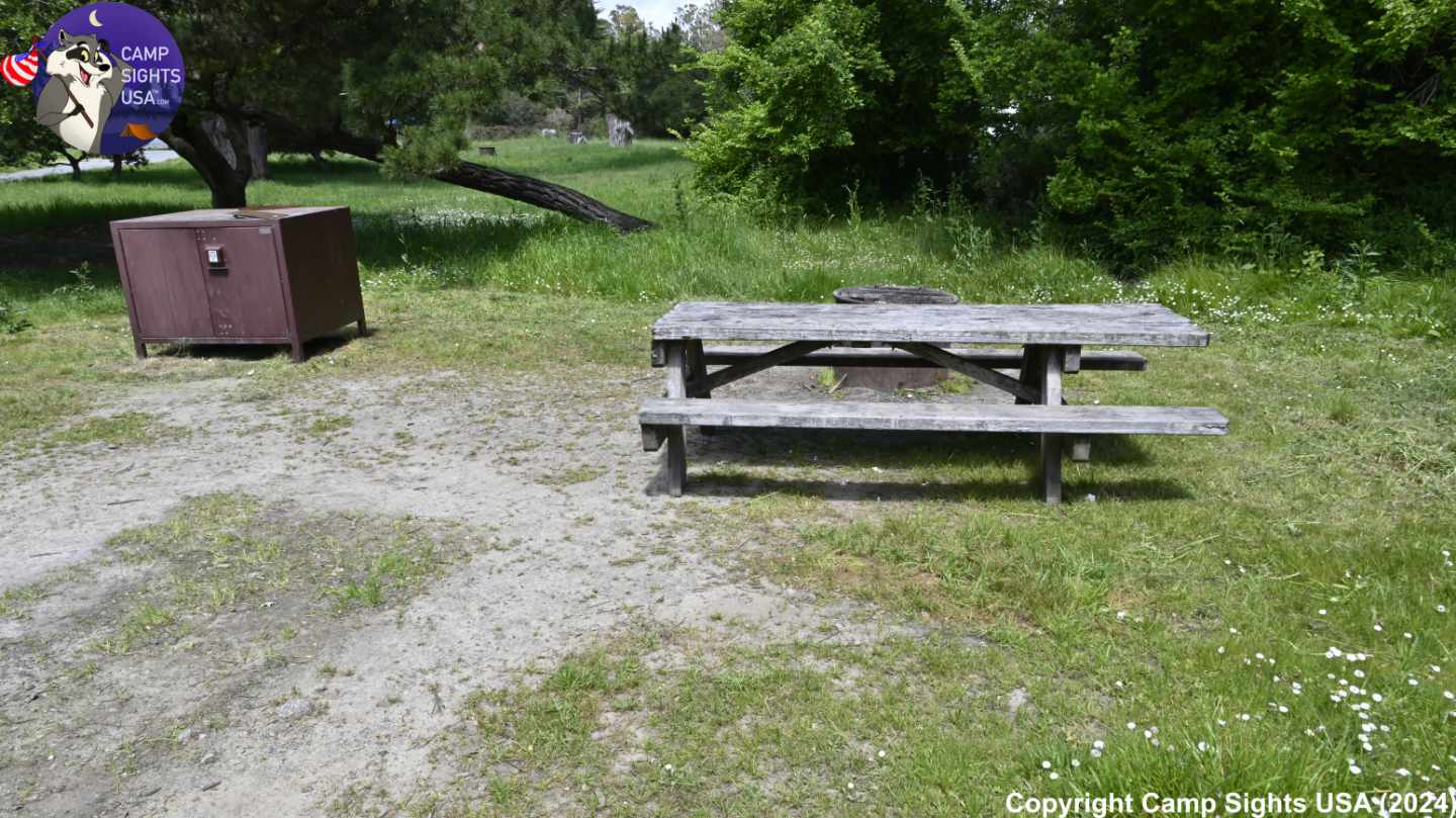 New Brighton State Beach #104