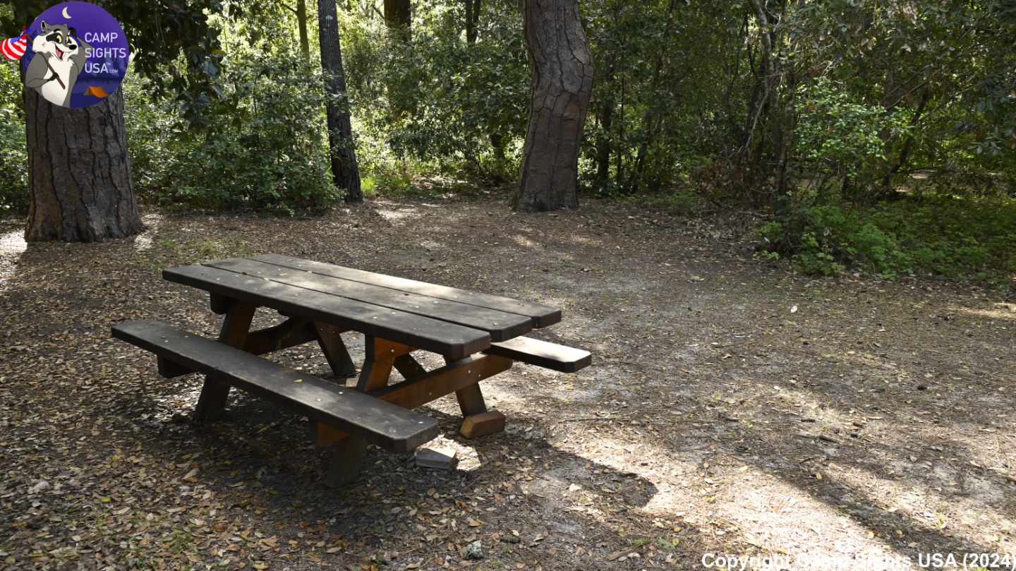 Henry Cowell State Park #3
