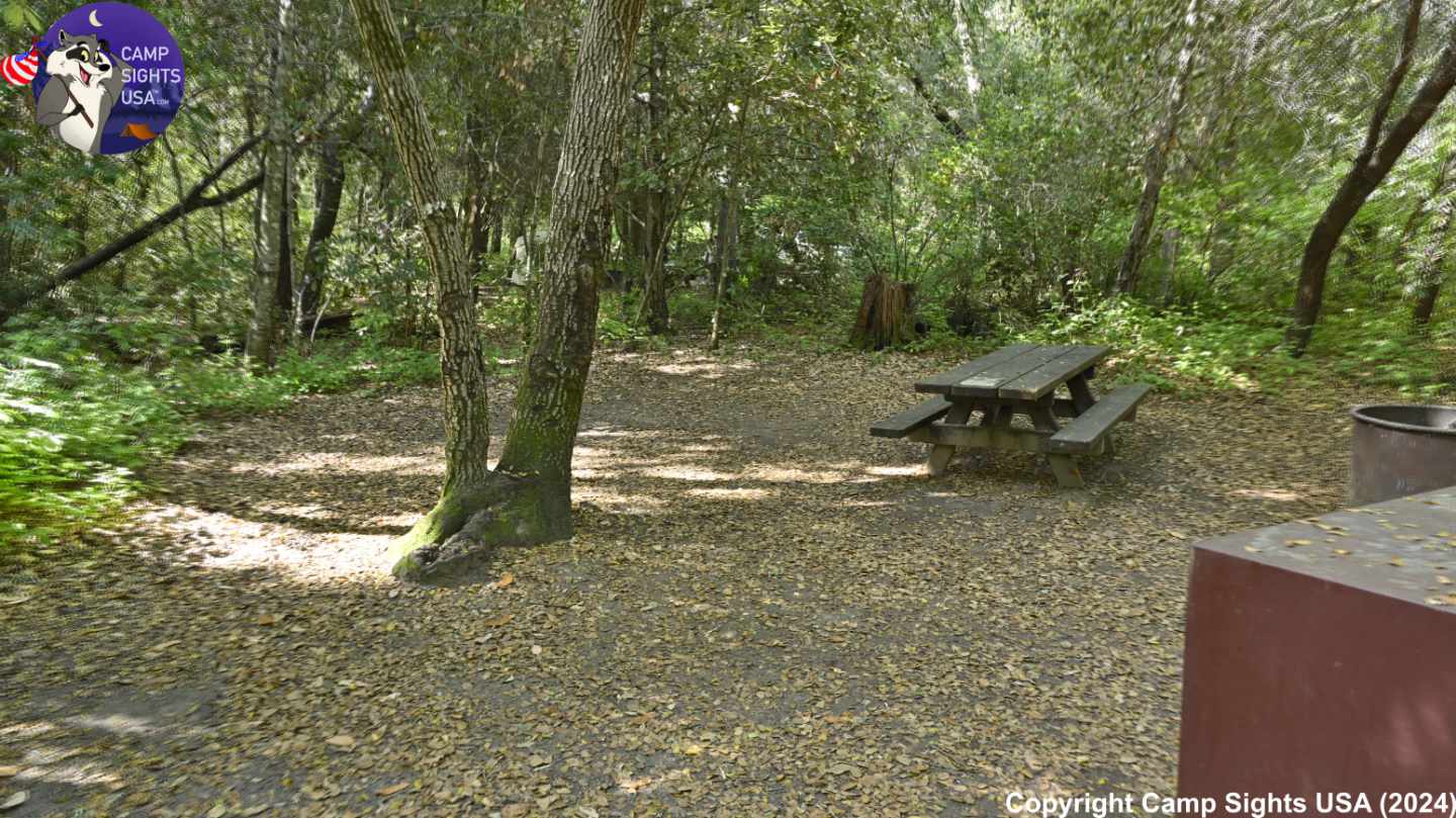 Henry Cowell State Park #4