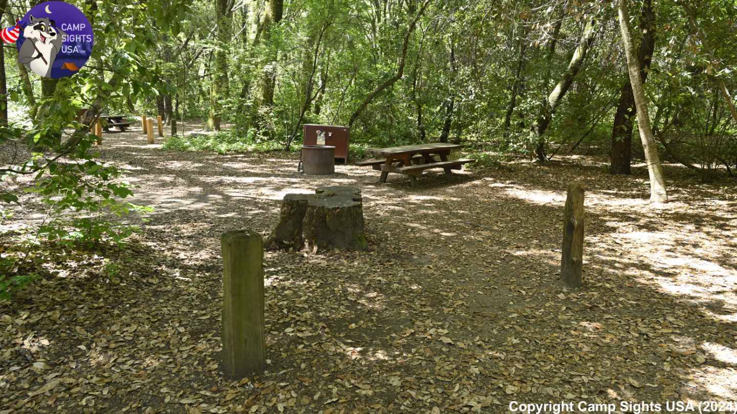 Henry Cowell State Park #6