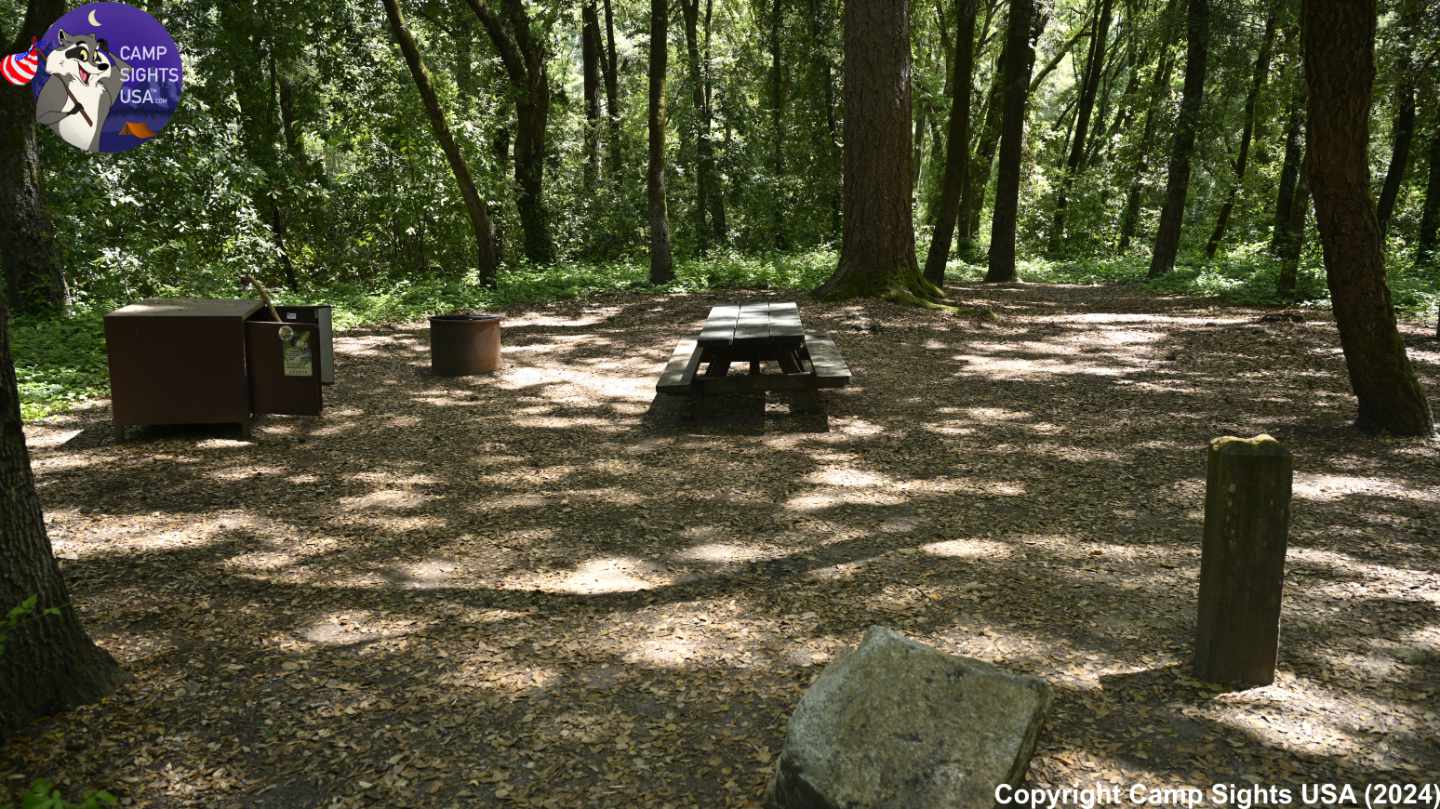 Henry Cowell State Park #7