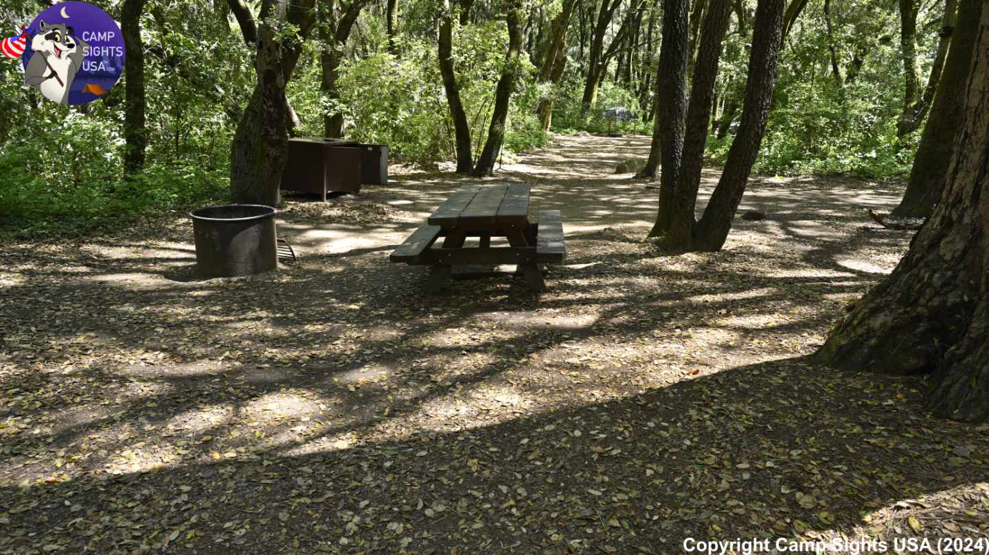 Henry Cowell State Park #10