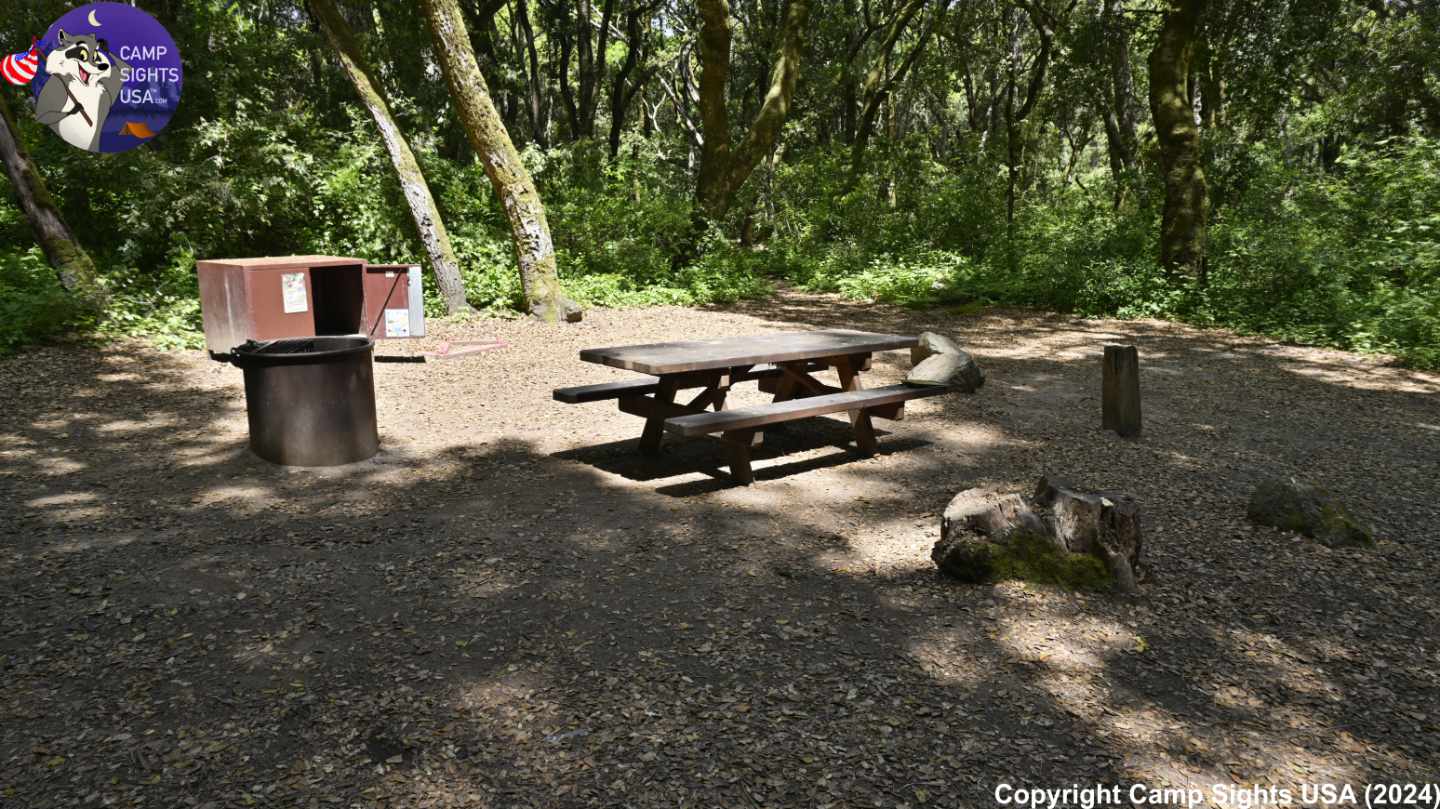 Henry Cowell State Park #12