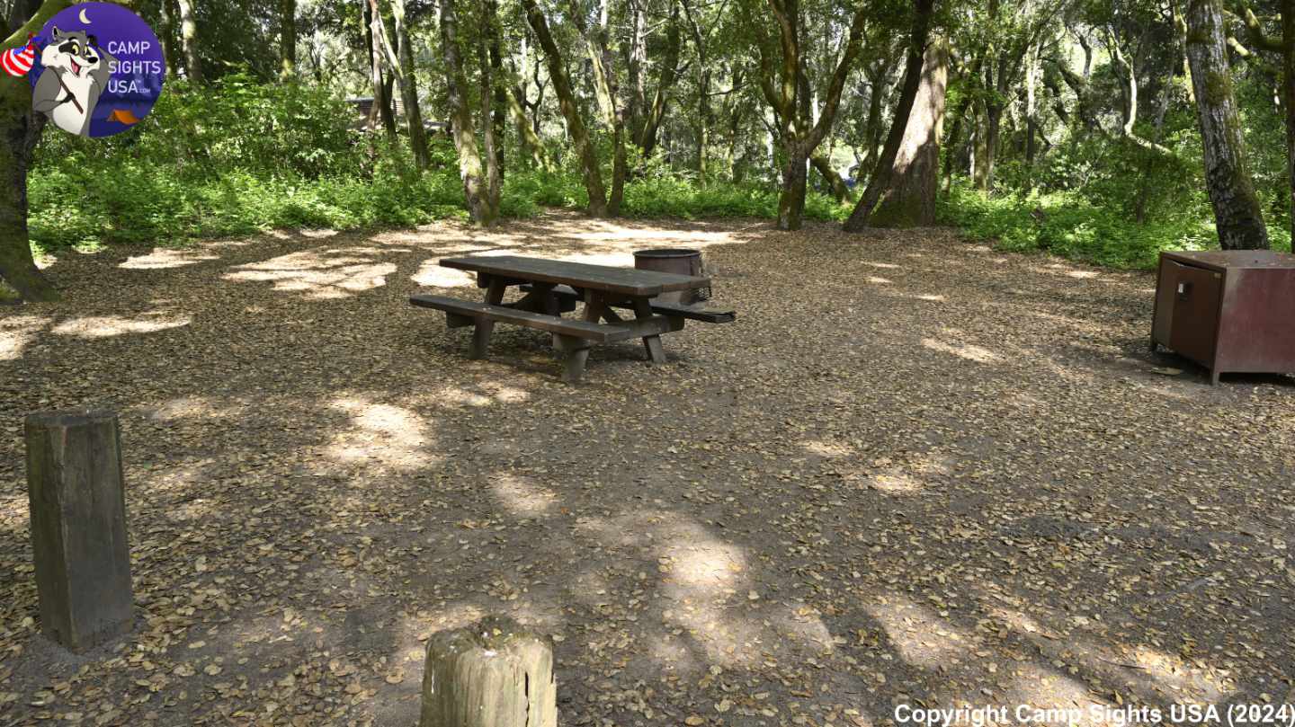 Henry Cowell State Park #14