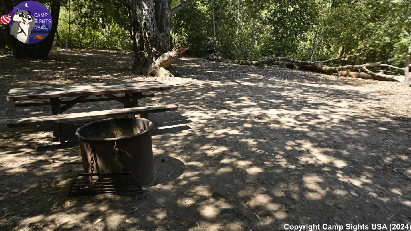 Henry Cowell State Park #21