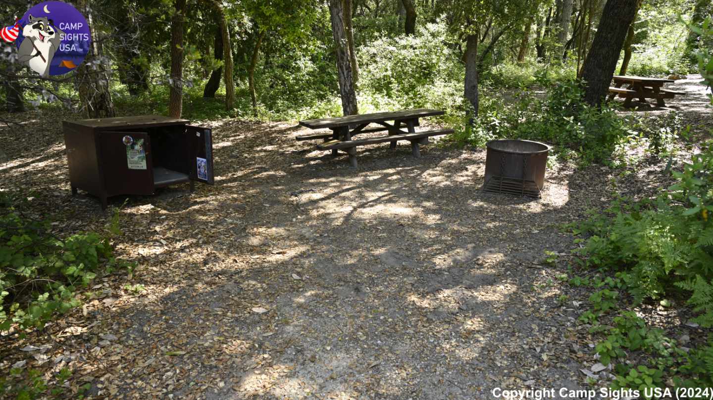 Henry Cowell State Park #22
