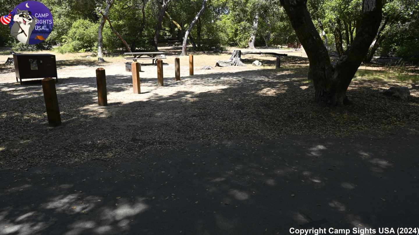 Henry Cowell State Park #30