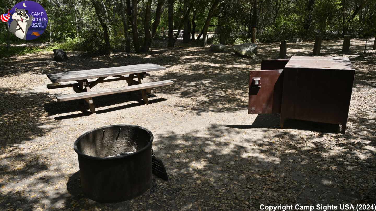 Henry Cowell State Park #33
