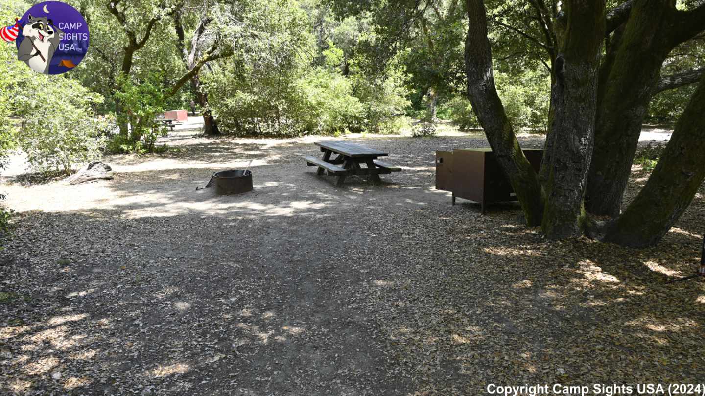 Henry Cowell State Park #37