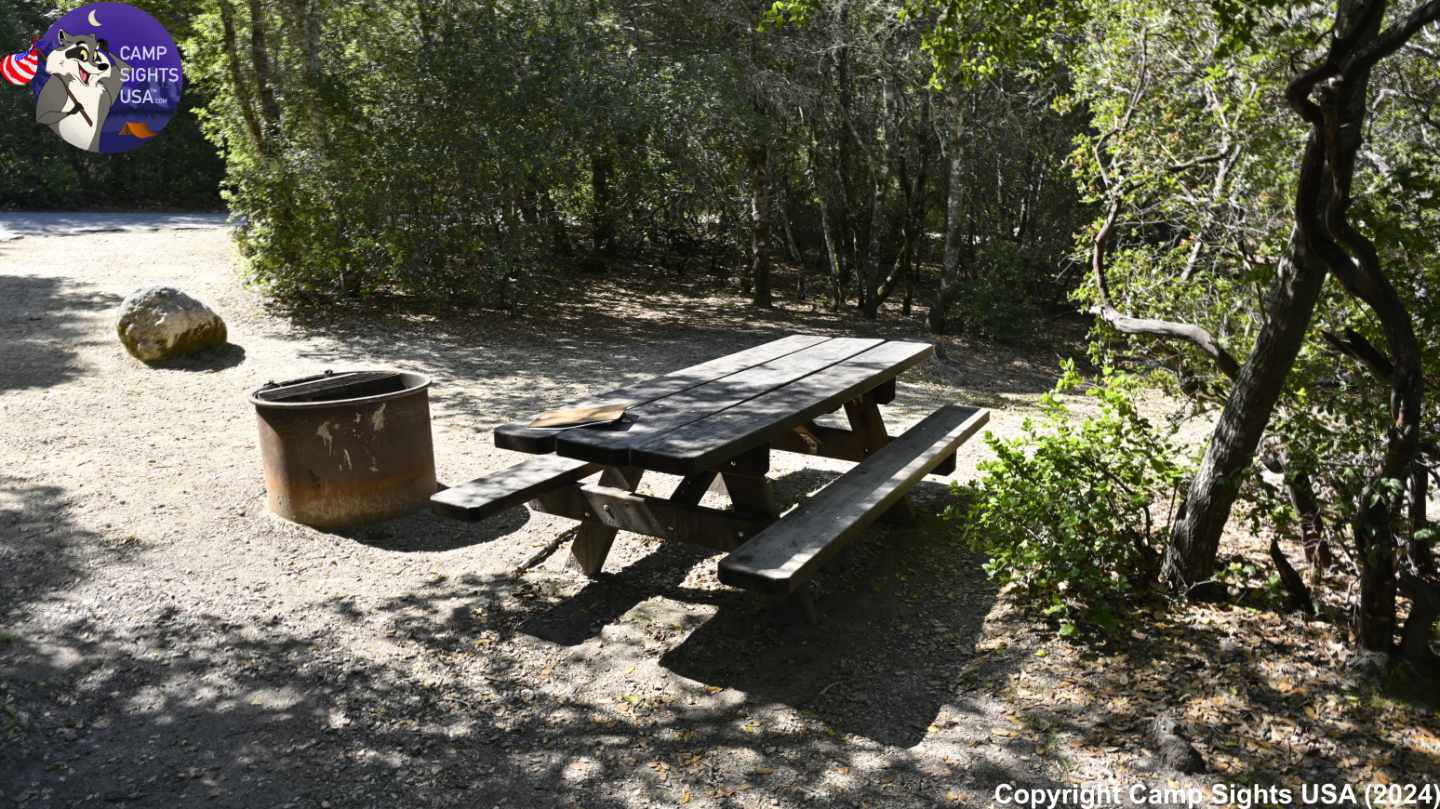 Henry Cowell State Park #43