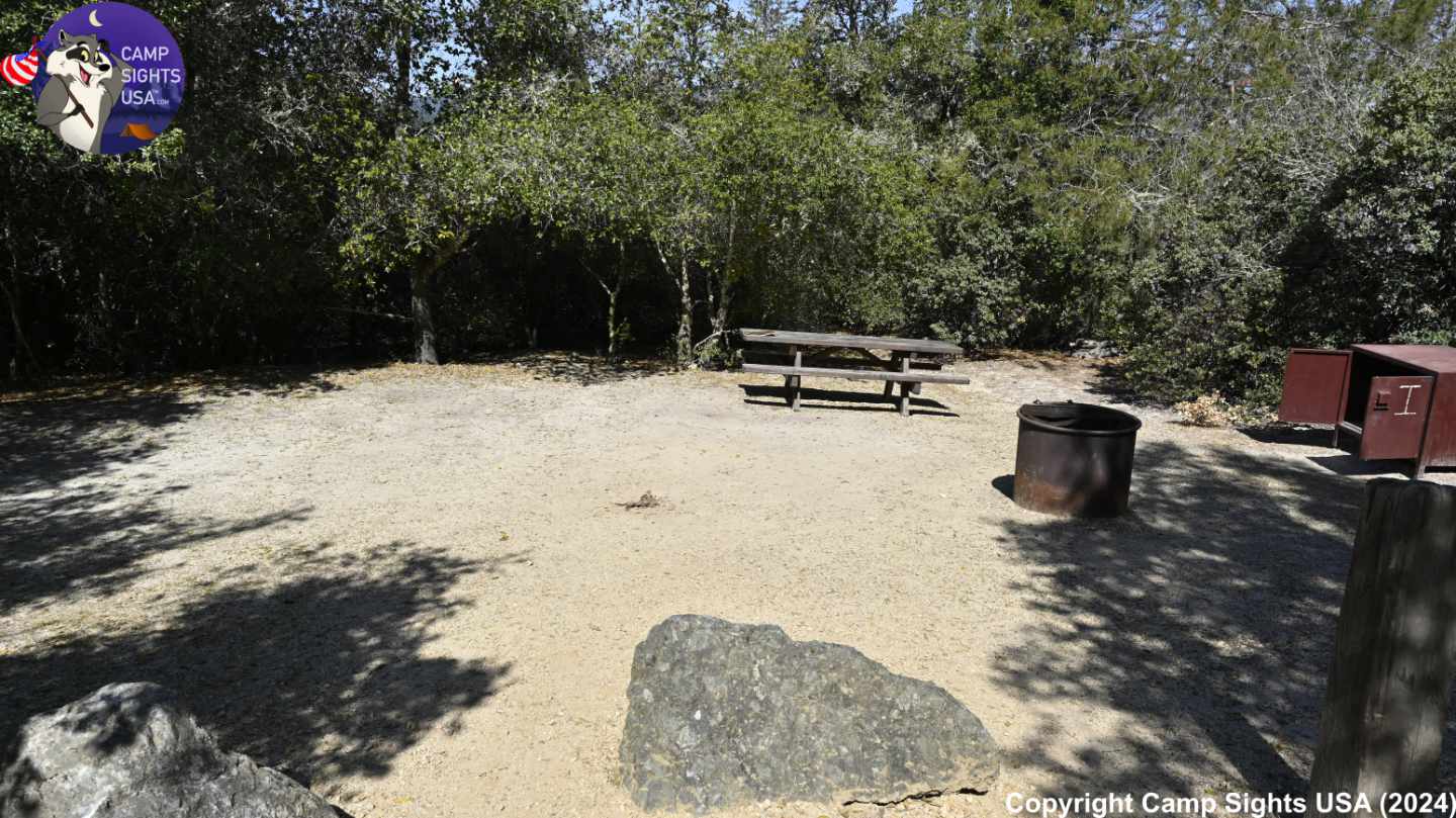 Henry Cowell State Park #44