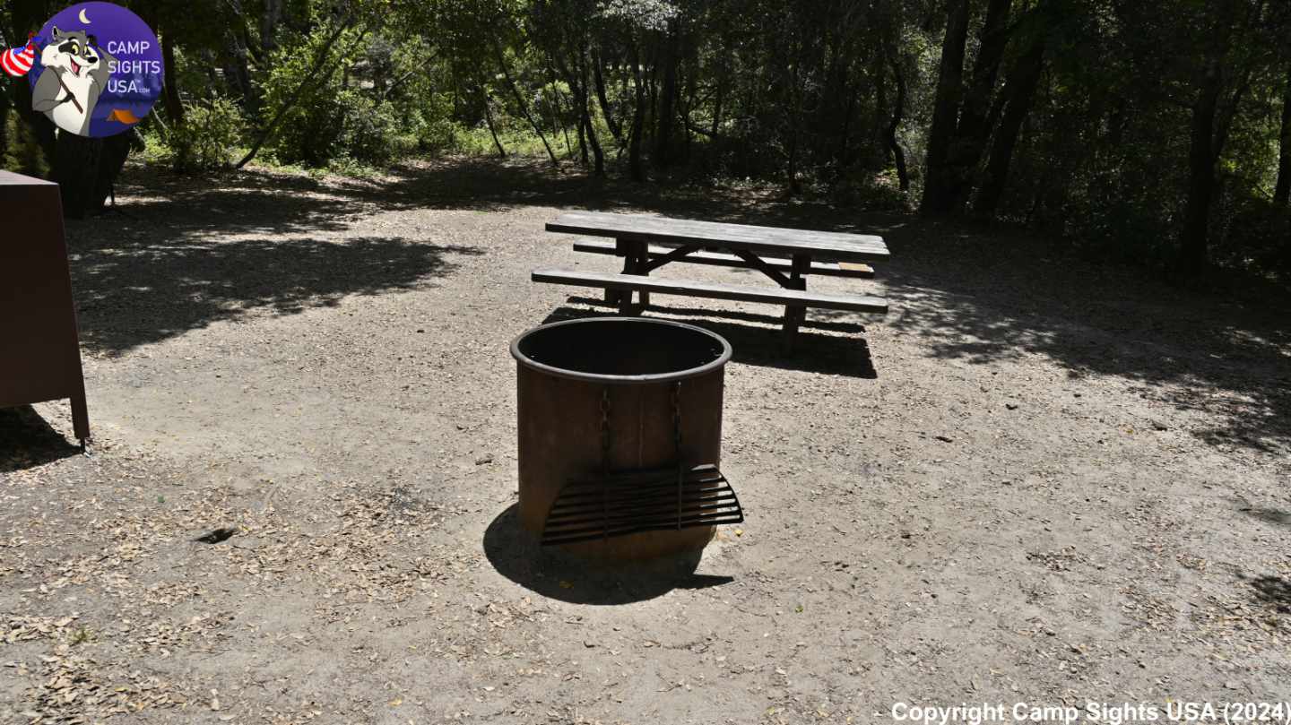 Henry Cowell State Park #46