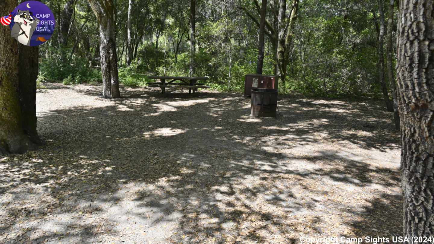 Henry Cowell State Park #50