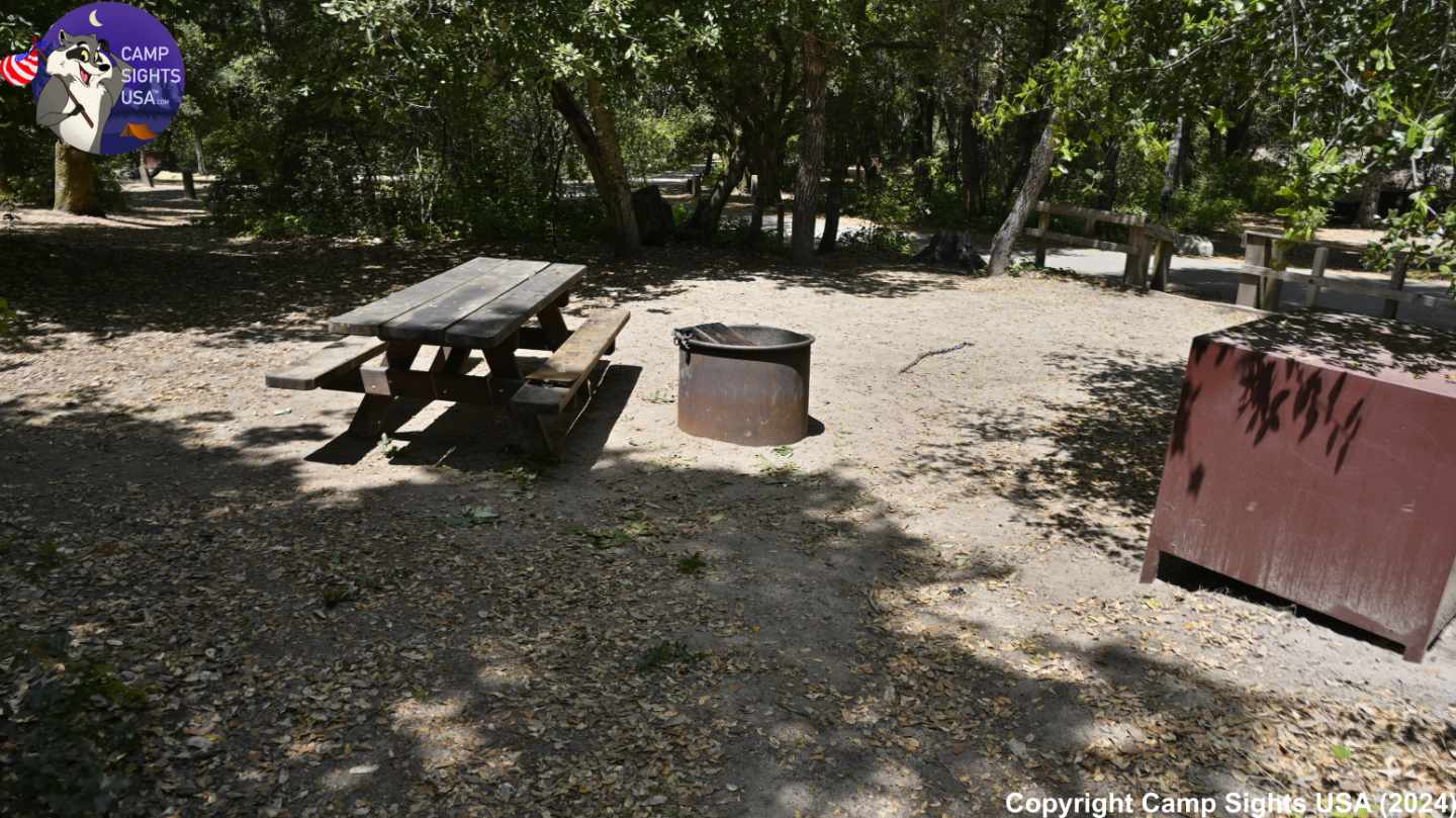 Henry Cowell State Park #51
