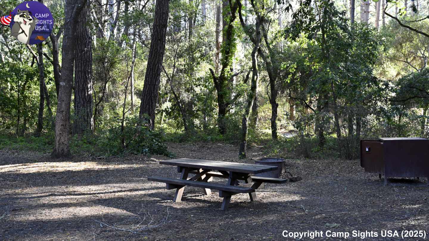 Henry Cowell State Park #52