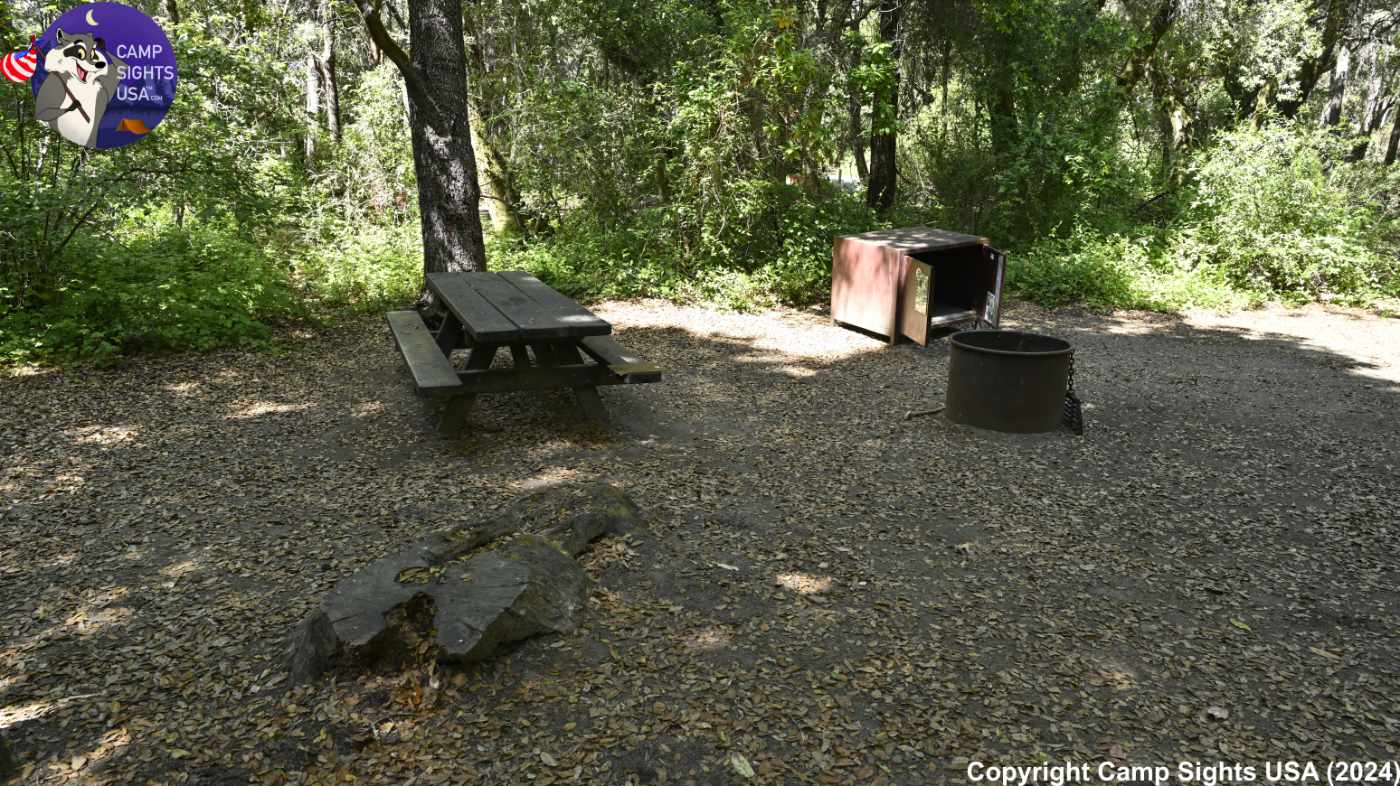 Henry Cowell State Park #53