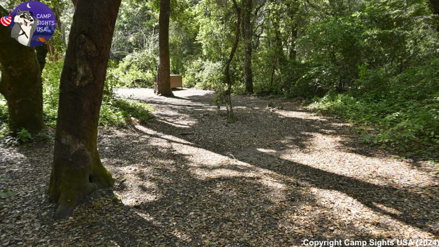 Henry Cowell State Park #54