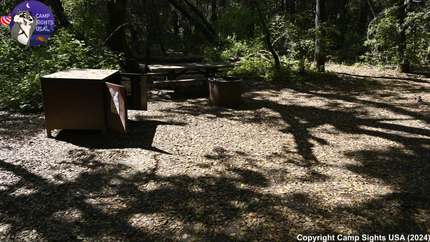 Henry Cowell State Park #55