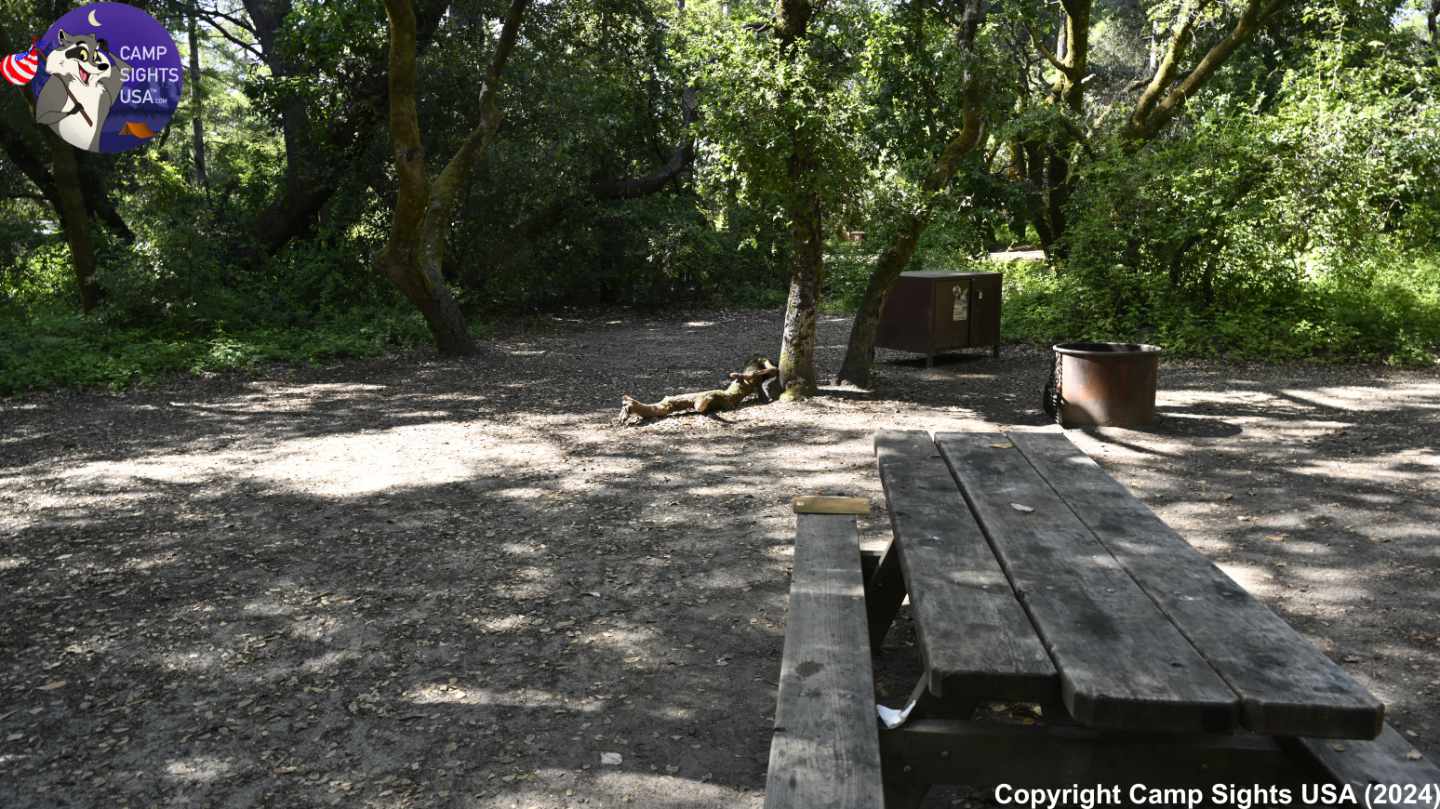 Henry Cowell State Park #63