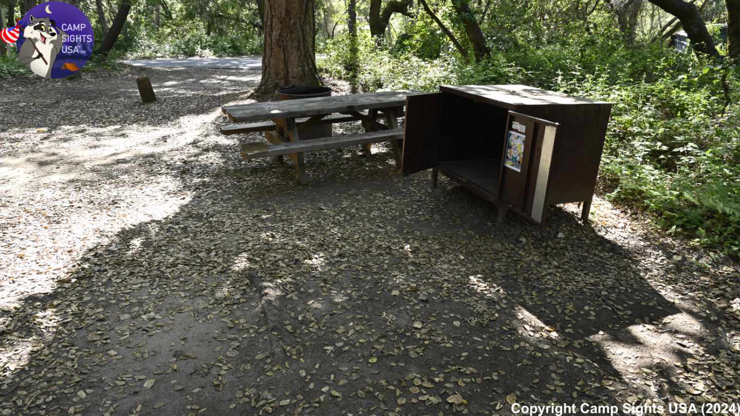 Henry Cowell State Park #66