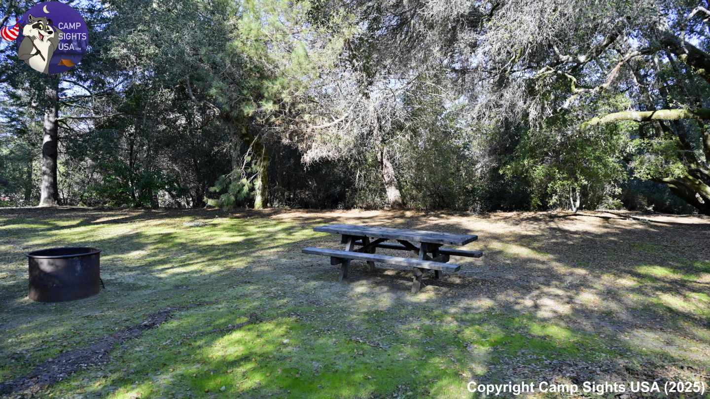 Henry Cowell State Park #69