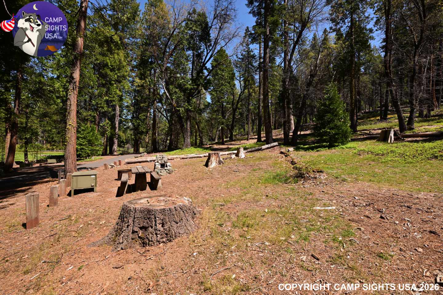 Calaveras Big Trees State Park #55