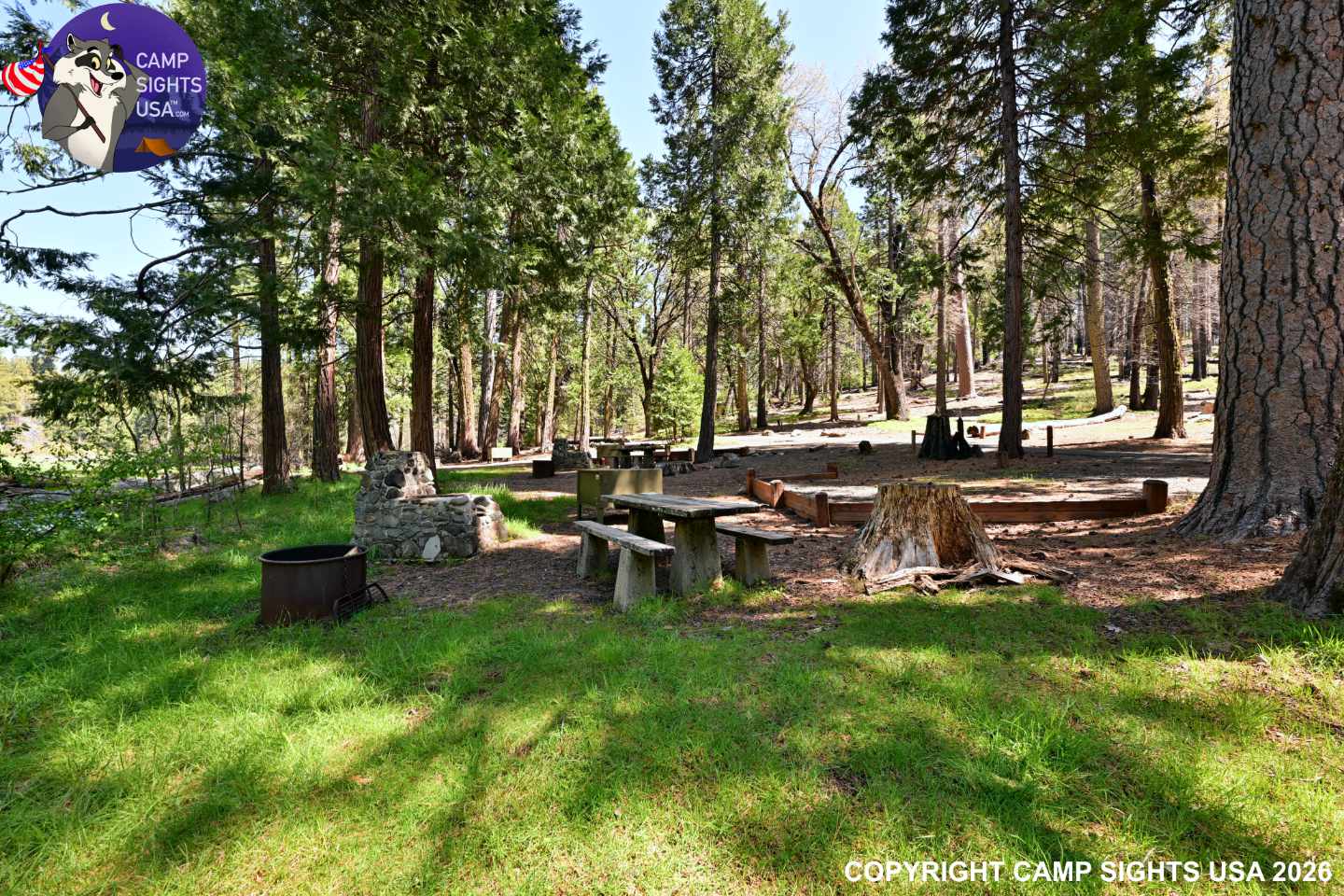 Calaveras Big Trees State Park #56