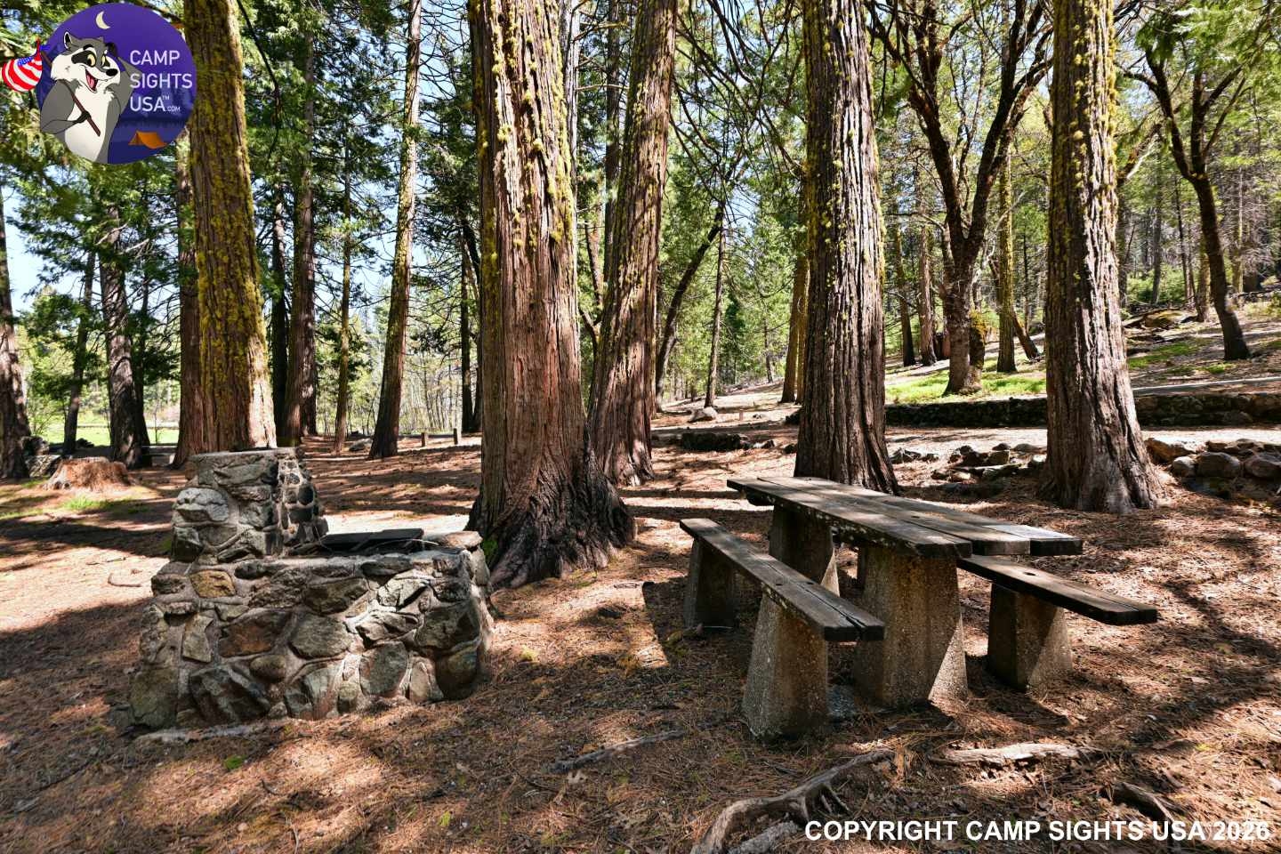 Calaveras Big Trees State Park #58
