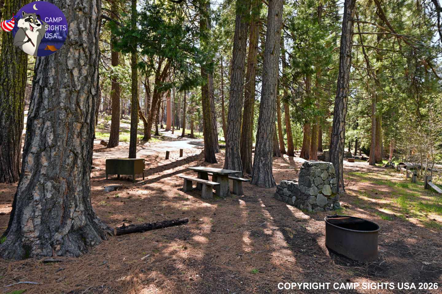 Calaveras Big Trees State Park #59