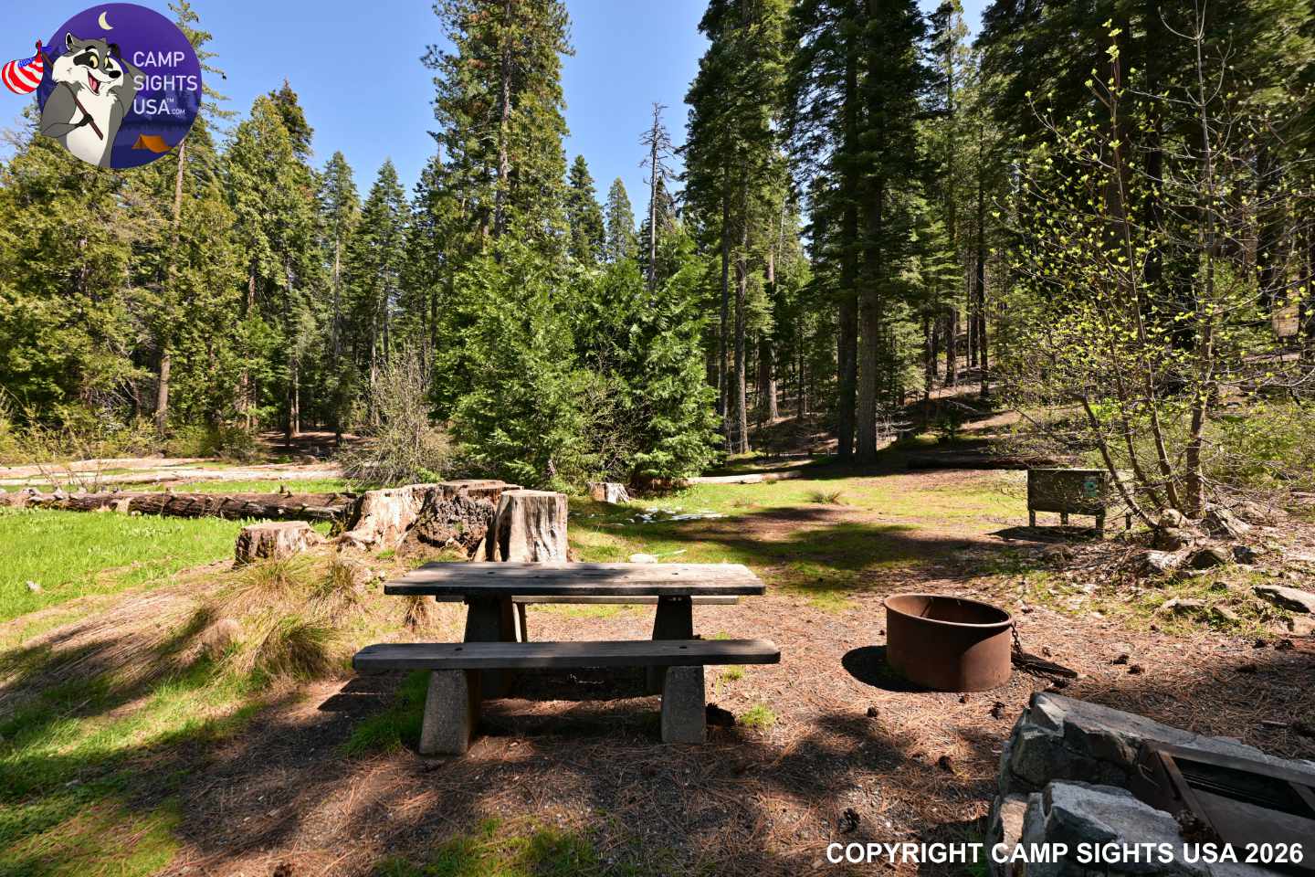 Calaveras Big Trees State Park #60
