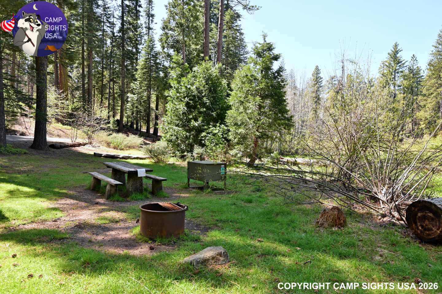 Calaveras Big Trees State Park #61