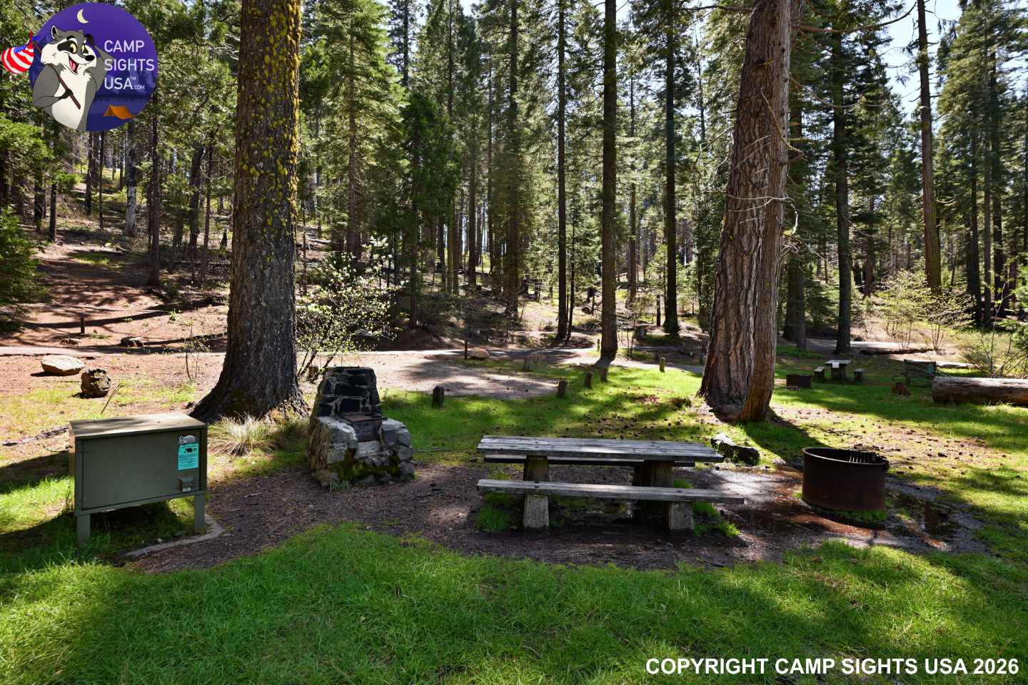 Calaveras Big Trees State Park #62