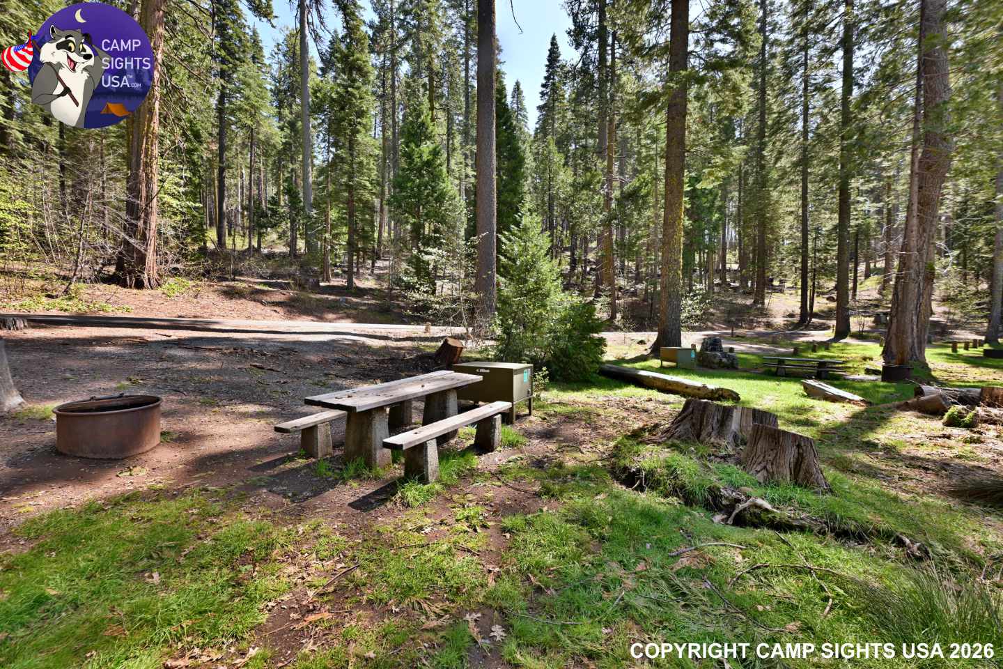Calaveras Big Trees State Park #63