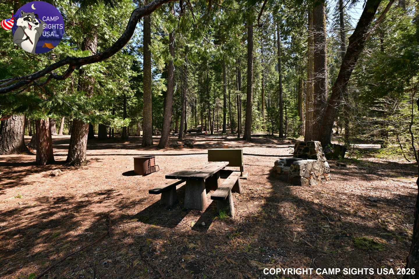 Calaveras Big Trees State Park #64
