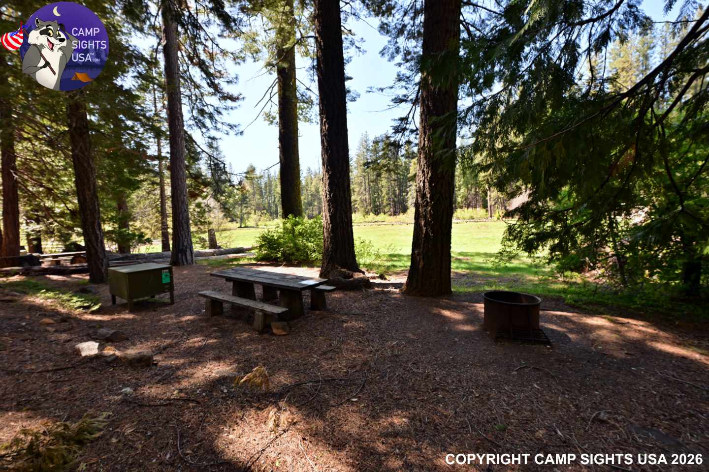 Calaveras Big Trees State Park #65