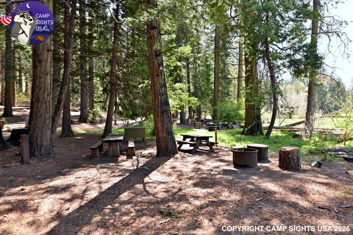 Calaveras Big Trees State Park #67