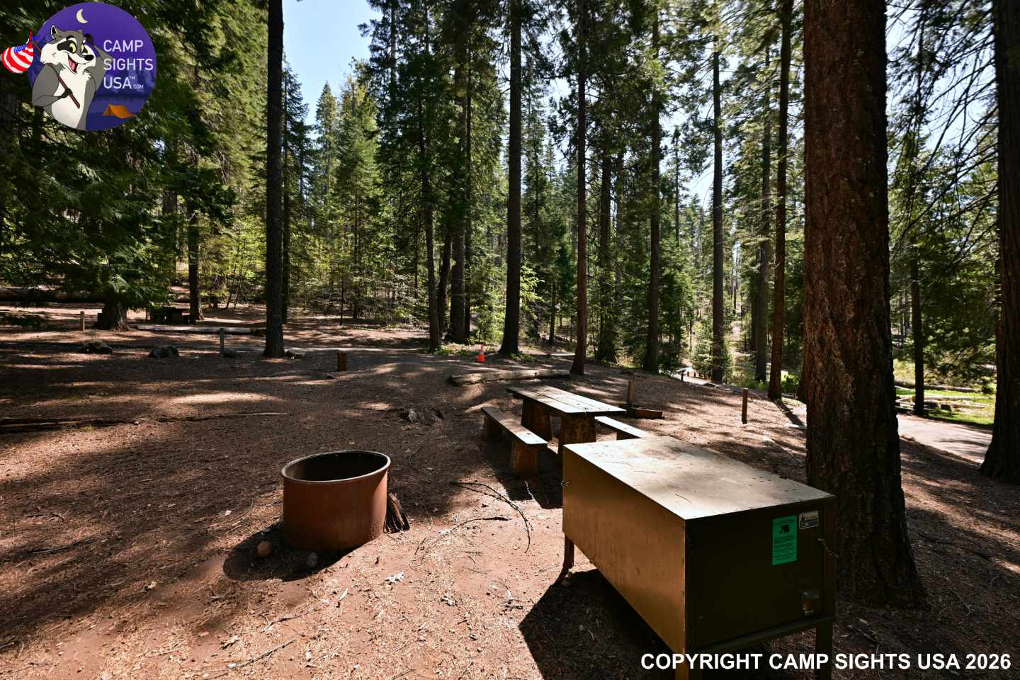 Calaveras Big Trees State Park #68