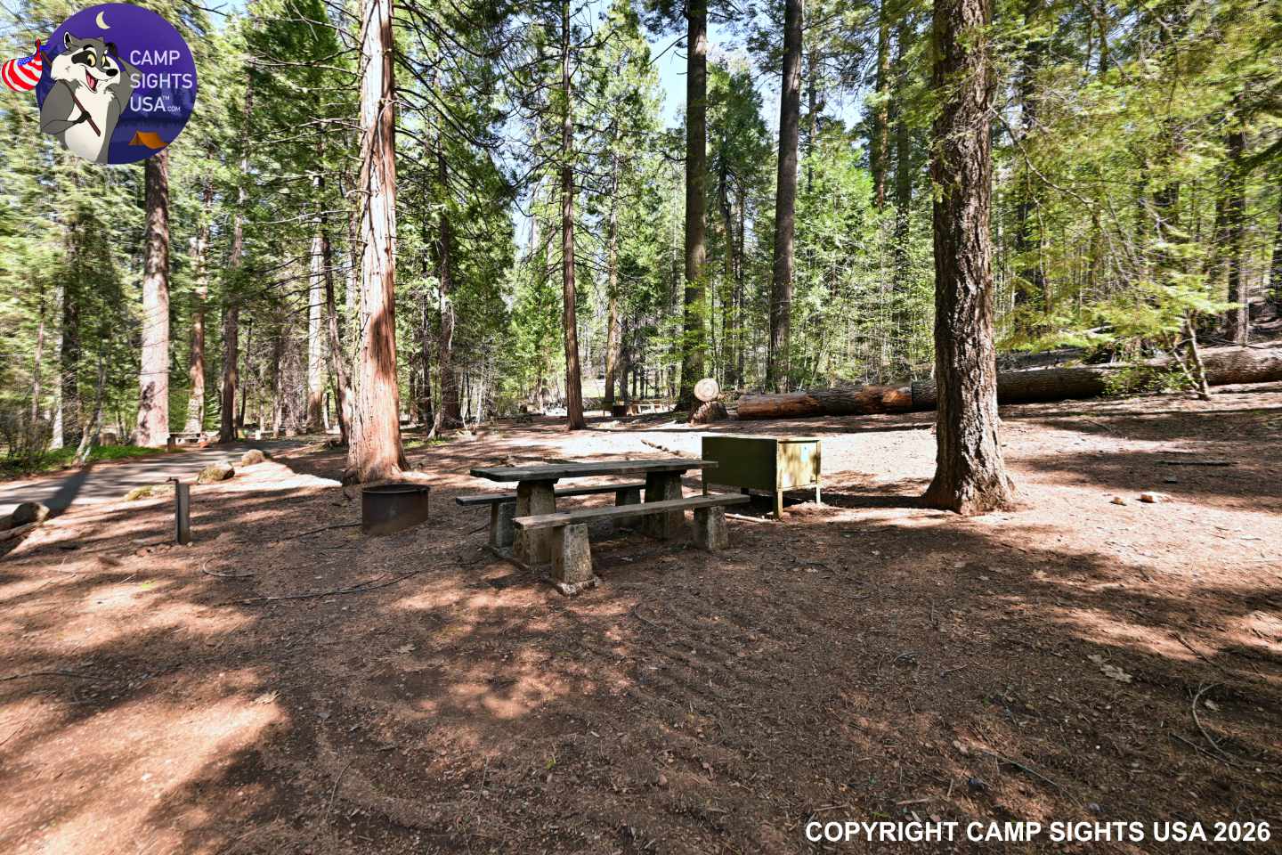 Calaveras Big Trees State Park #69