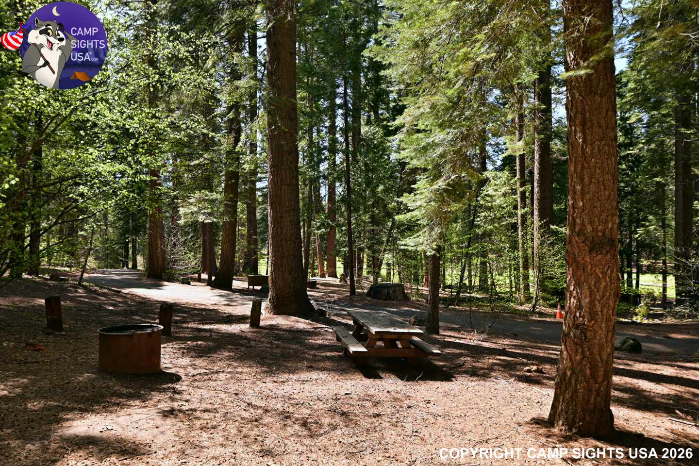 Calaveras Big Trees State Park #72