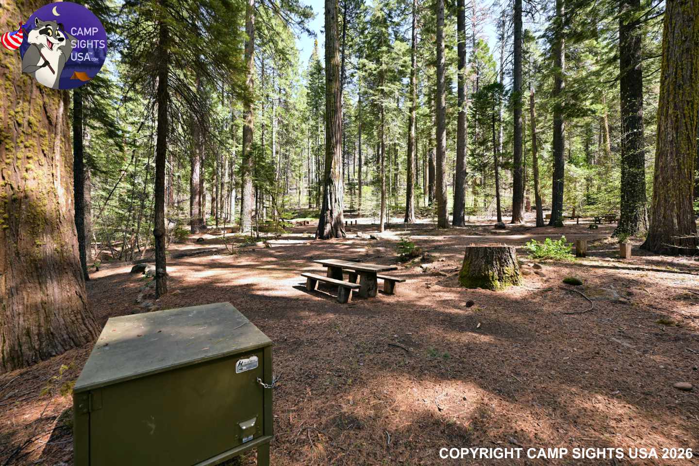 Calaveras Big Trees State Park #73