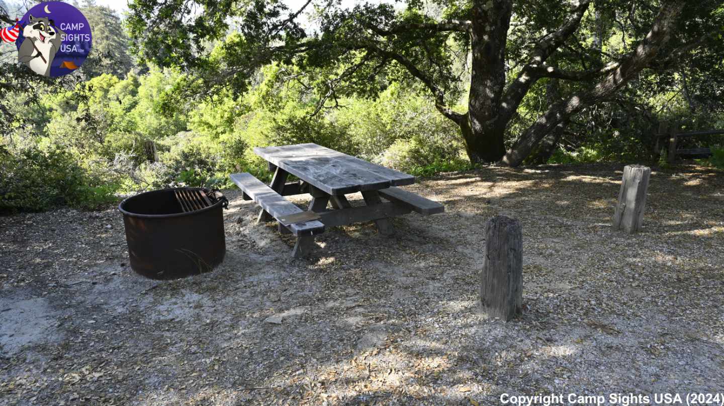 Henry Cowell State Park #72