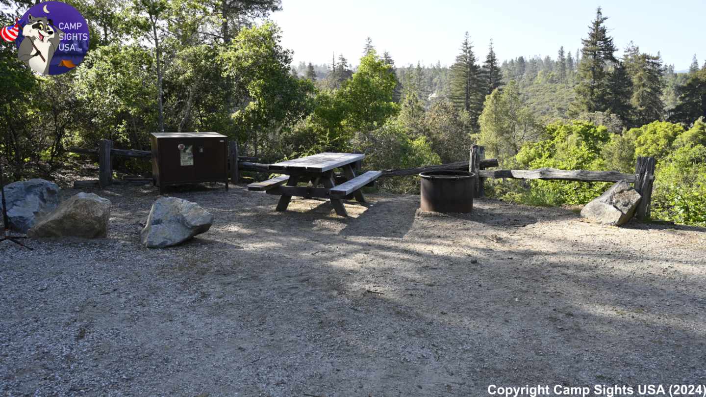 Henry Cowell State Park #74
